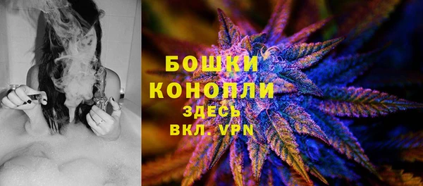 метадон Зеленодольск