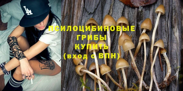 дживик Зерноград