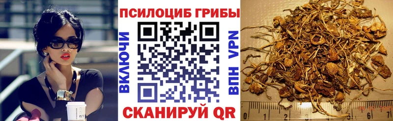 Галлюциногенные грибы Psilocybe  Купить  Нязепетровск 